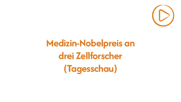 marco-bruhn-ihht-tagesschau-yt.webp